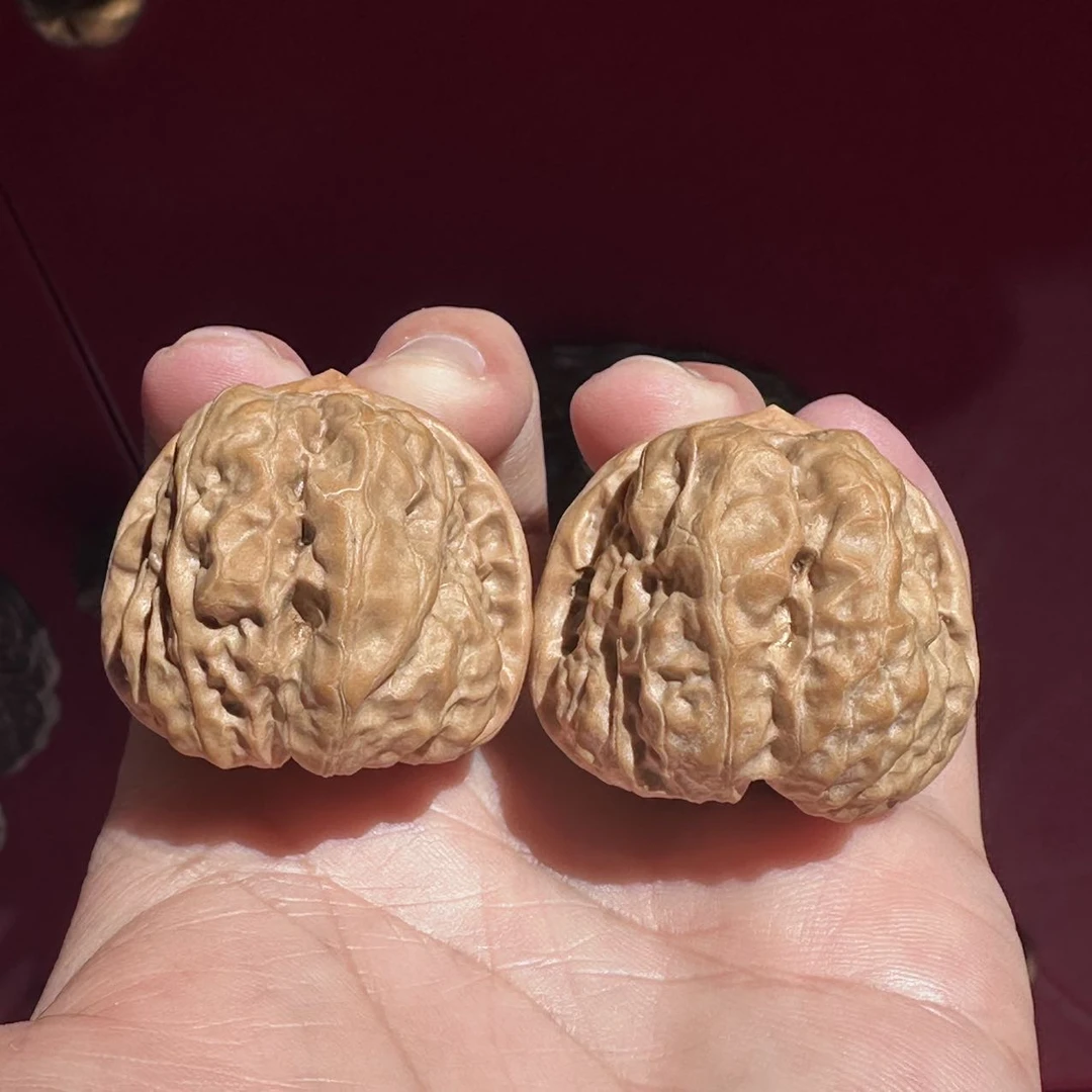【老胡严选】5 G30007-延庆山地蛤蟆头-尺寸42mm