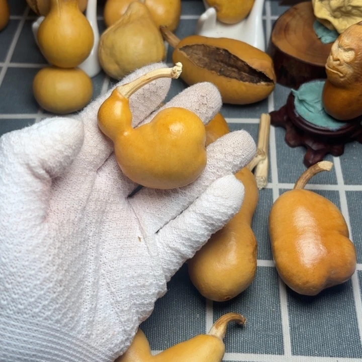 沉***静葫芦抽印666666666666