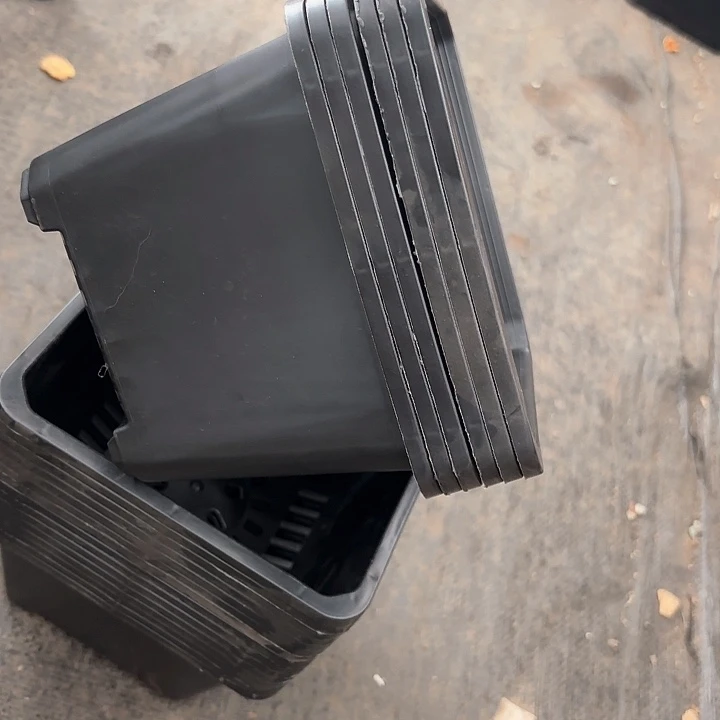 15公分黑方盆12个