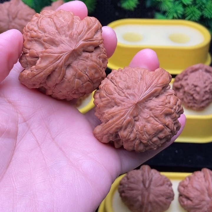 吊坠文玩核桃哈**亚龙鼎50全品