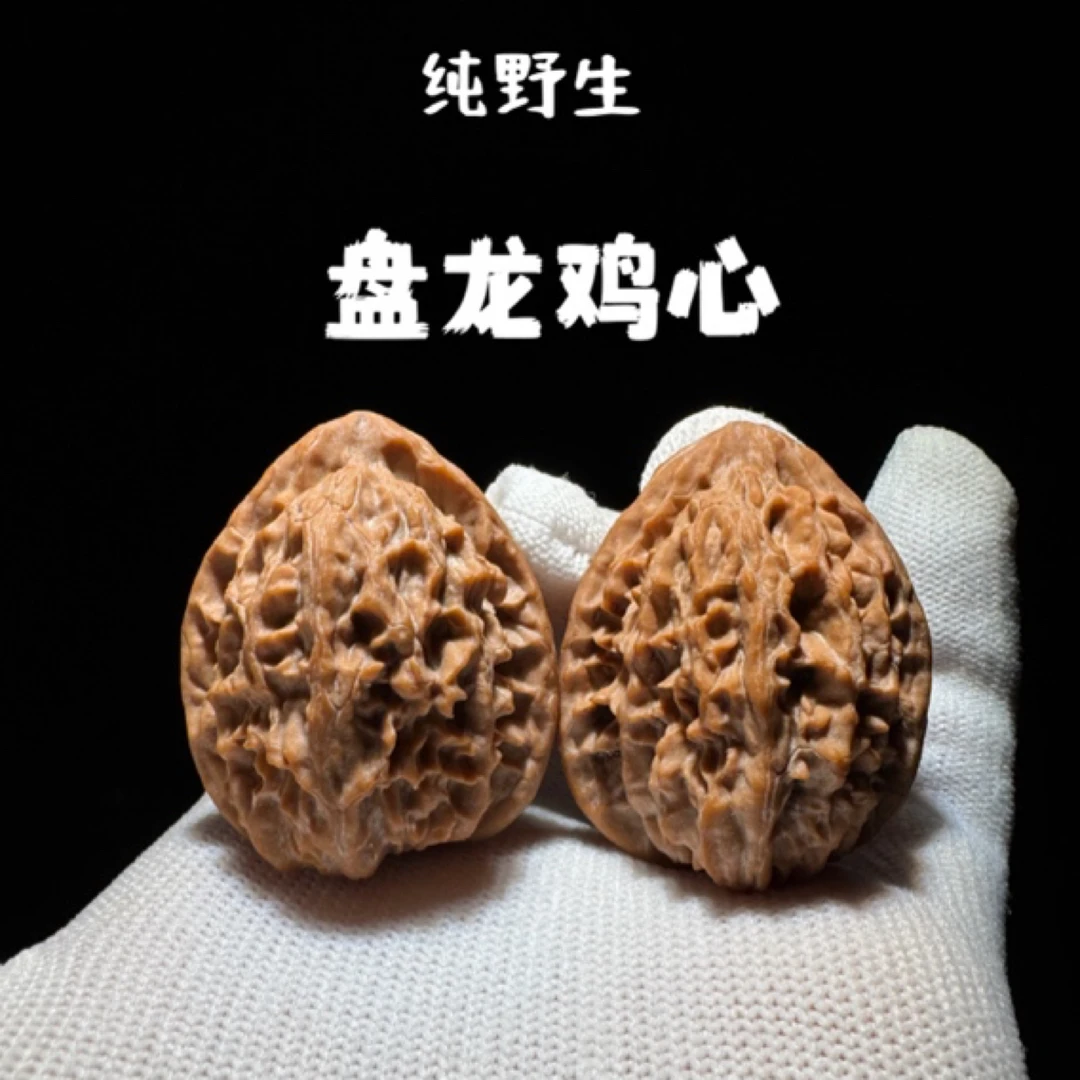盘龙鸡心独家纯野生小众鸡心走色惊艳