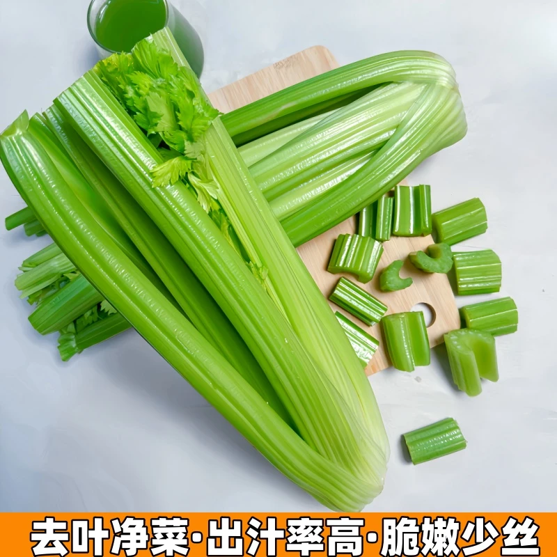 优质榨汁西芹净重3/5斤现摘现发新鲜健康精选大小