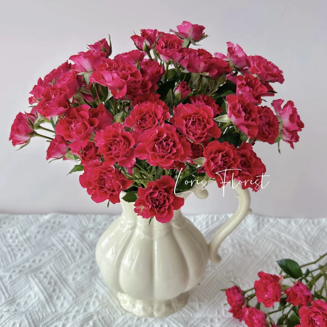 【杨鹏鲜花】多桃 多头泡泡玫瑰 云南鲜花包邮