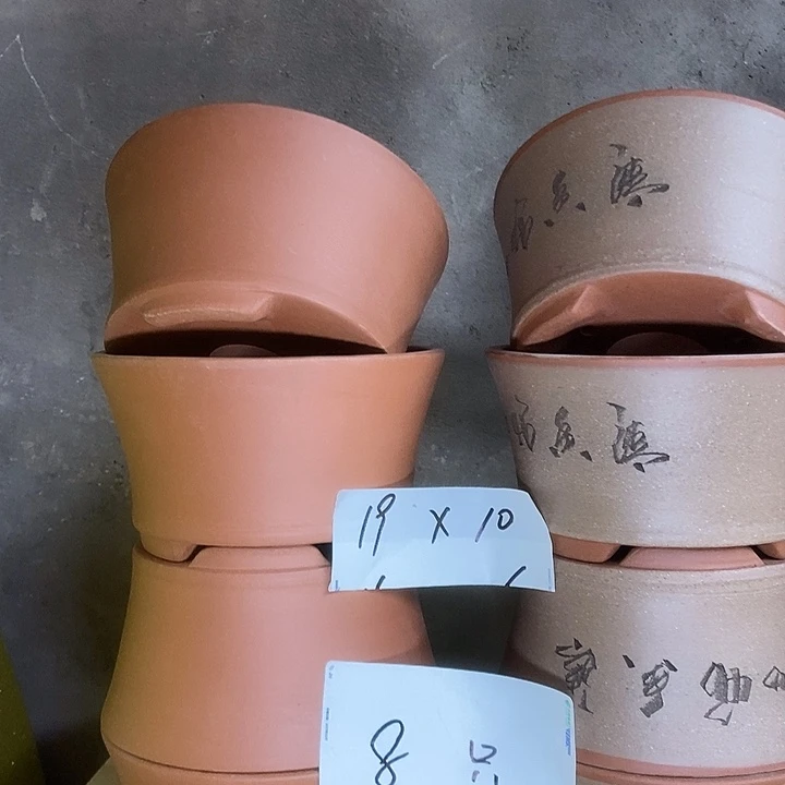 紫砂花盆我在外面