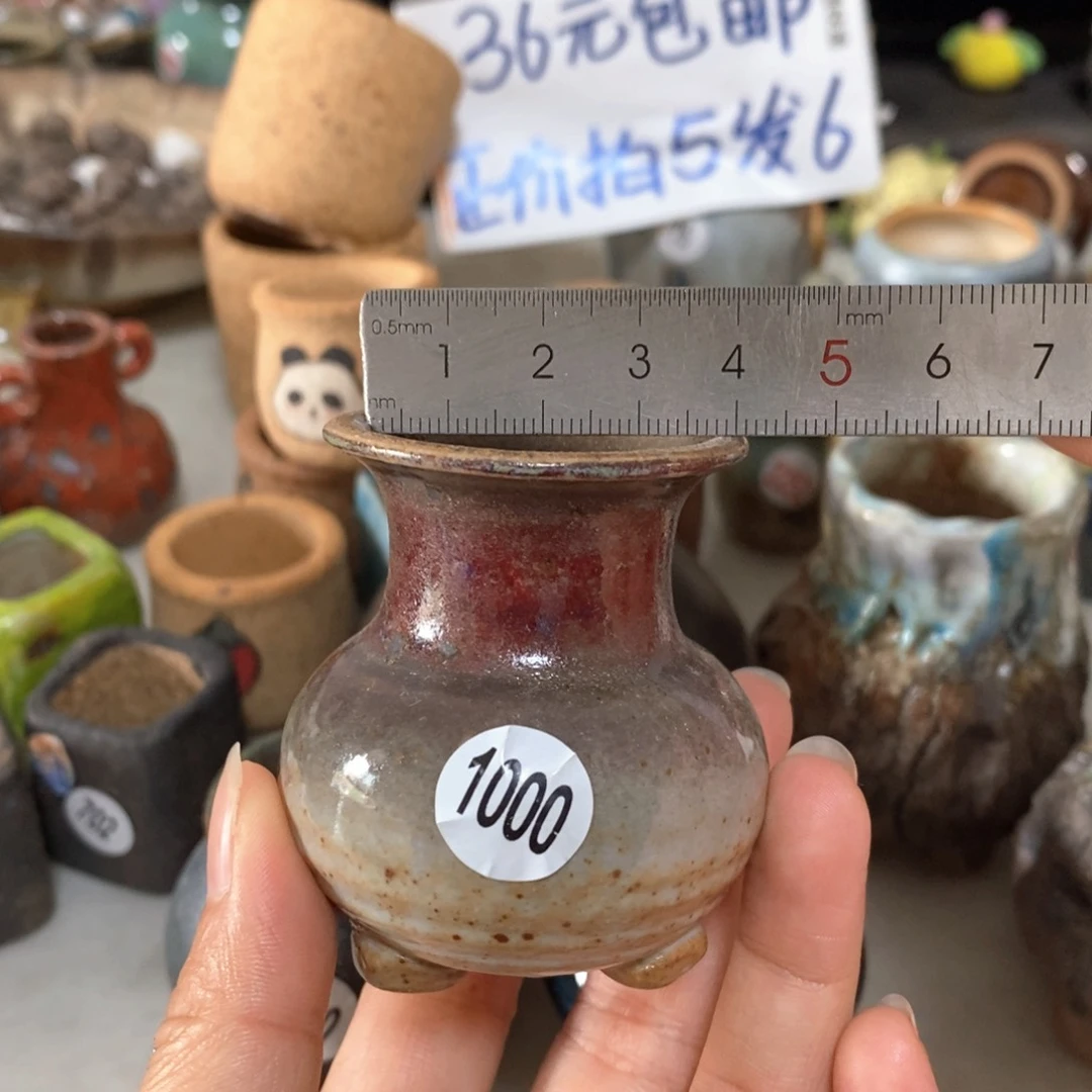 拍5送一个小礼物