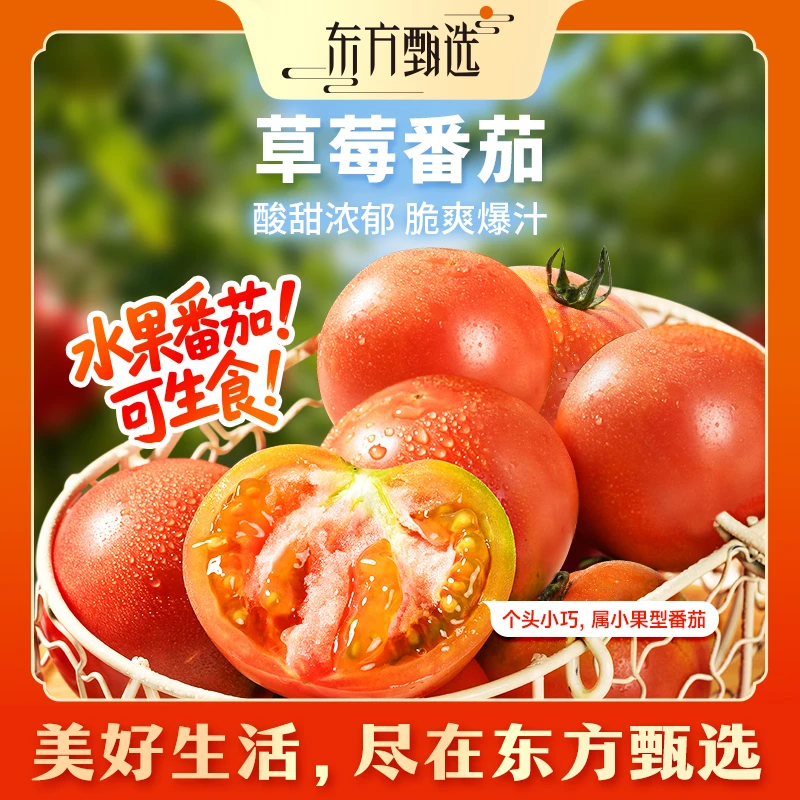 东方甄选自营草莓番茄酸甜铁皮西红柿新鲜应季蔬菜水果坏果包赔