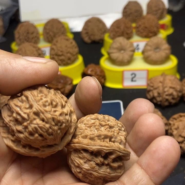 文玩核桃把件永****6白狮子