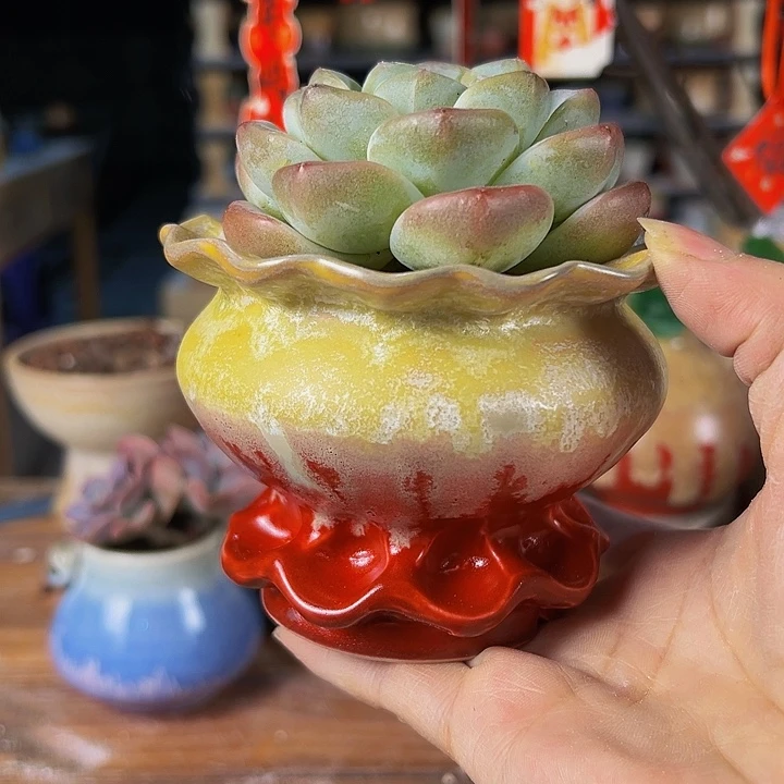 景德镇陶瓷2单包邮