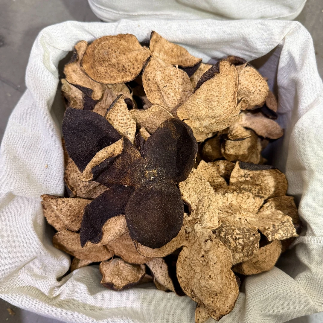 【冬后】2018年西甲老树冬后皮农户叠堆皮