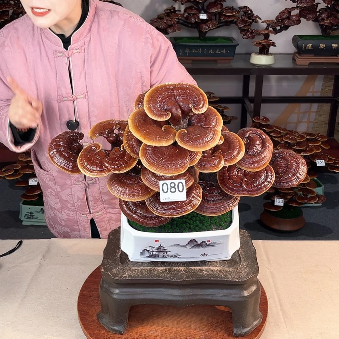 万事如意88888080