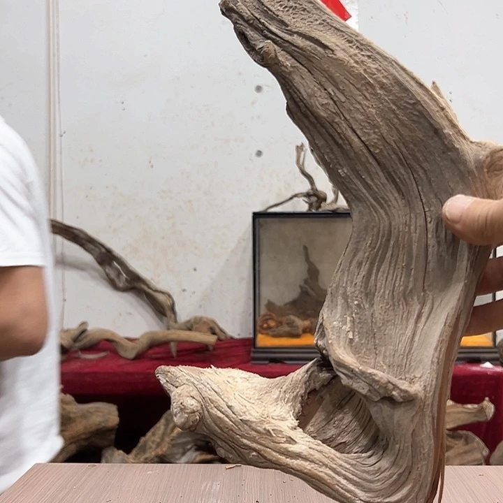 柏木四***༨我们的生活也是