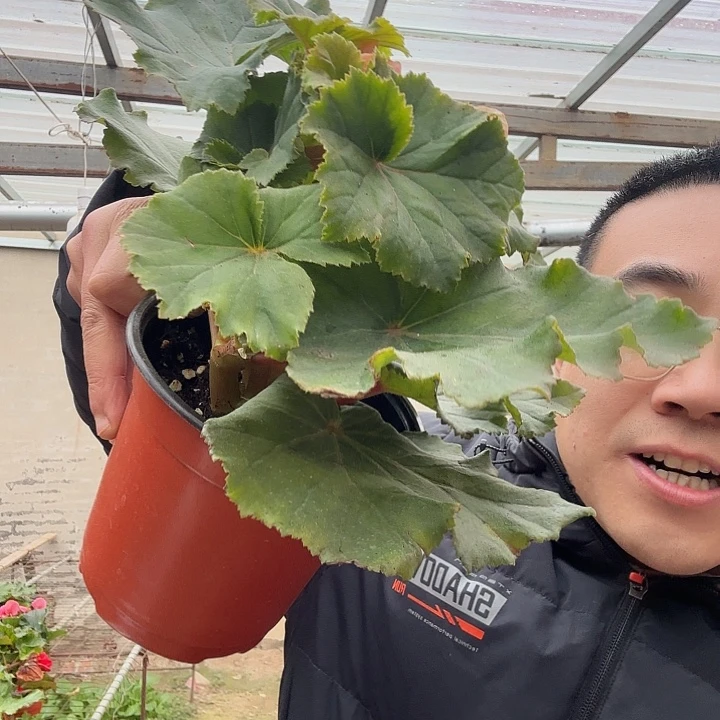 毛***哥完全开放处理公主粉➕保温