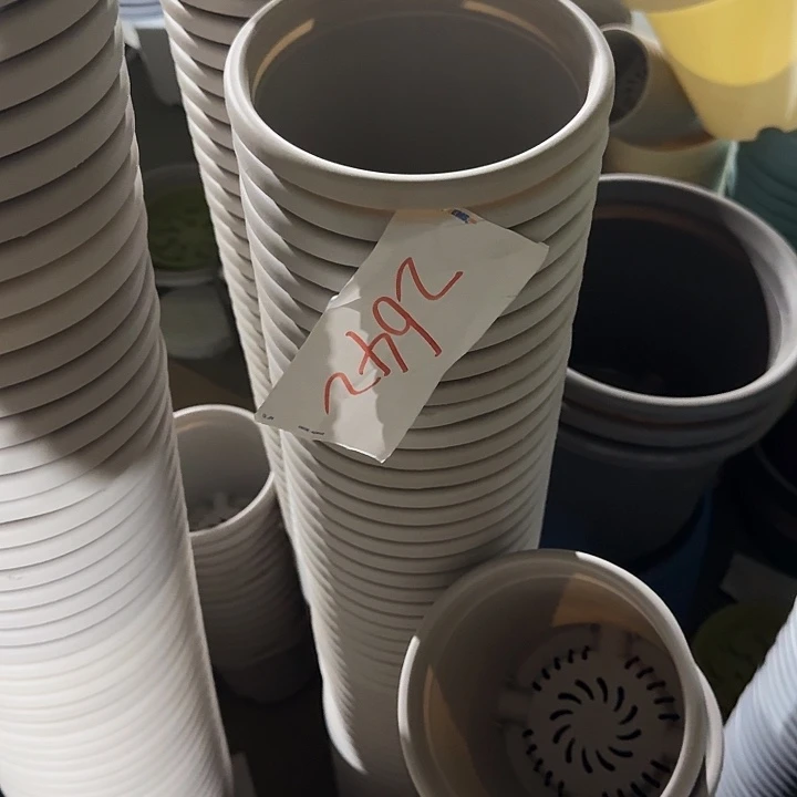 编号2642微瑕的12个一组