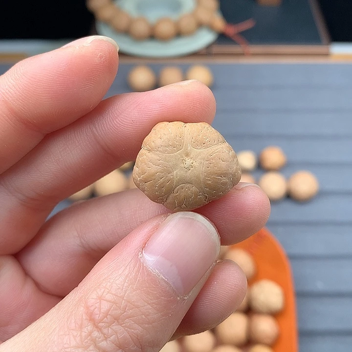 吊坠凤眼菩提23+五星，非质量问题开孔不退