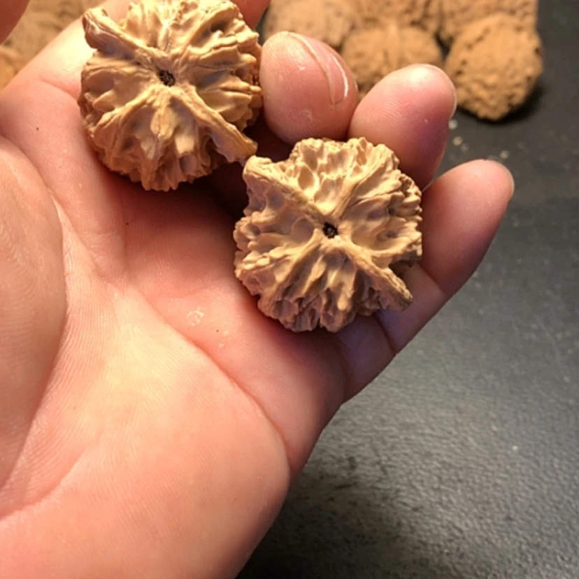 【闪购商品】文玩核桃吊坠抖*苹果