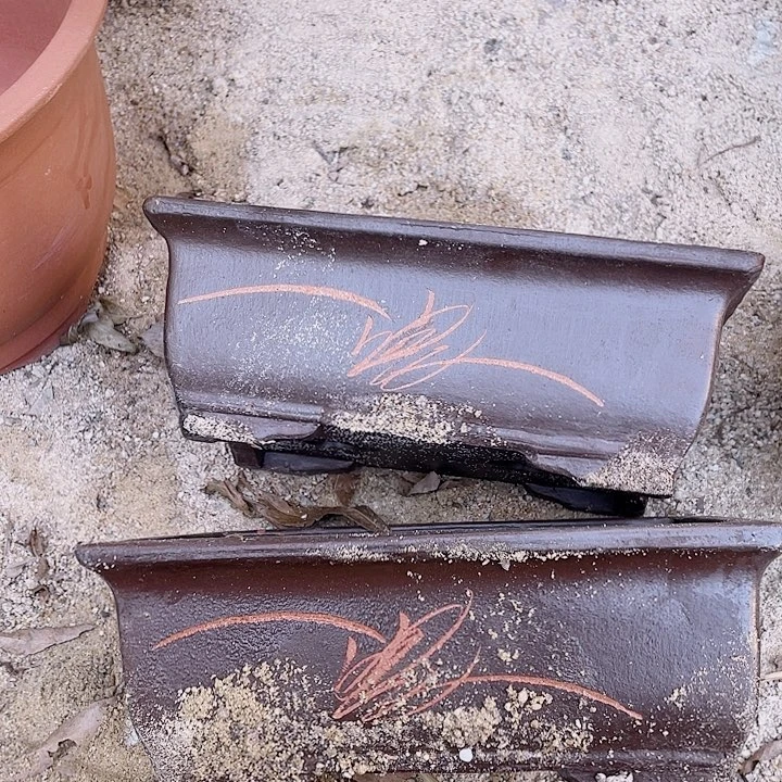 紫砂26:26棕色马草倨傲倨傲