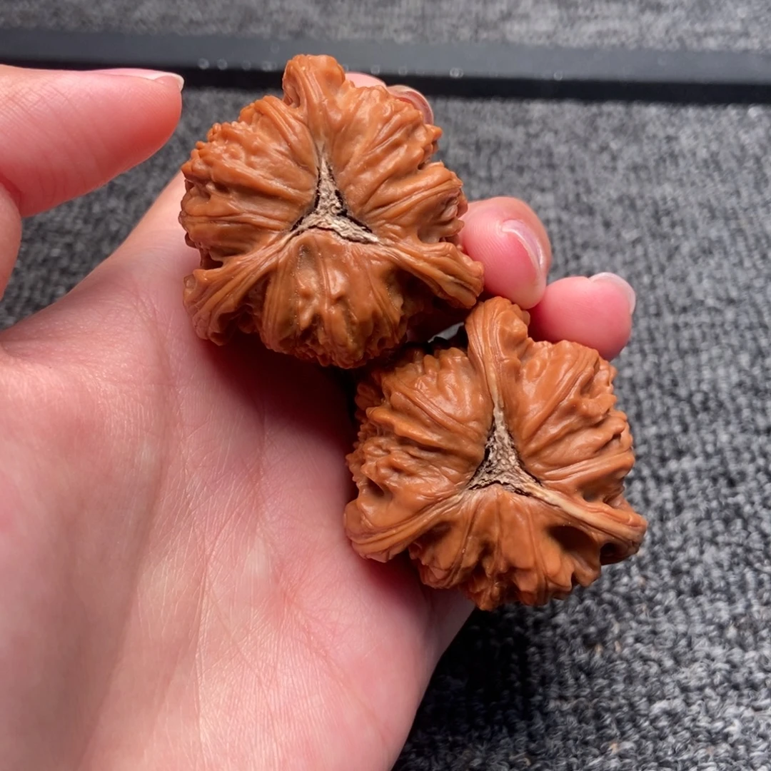 羁***绊木质类白狮子正奔