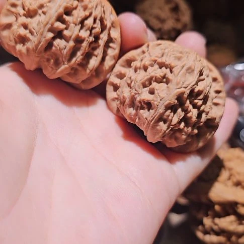 咸***干吊坠文玩核桃43白狮子