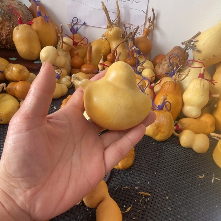 酒***子葫芦葫哈哈哈哈哈哈哈哈