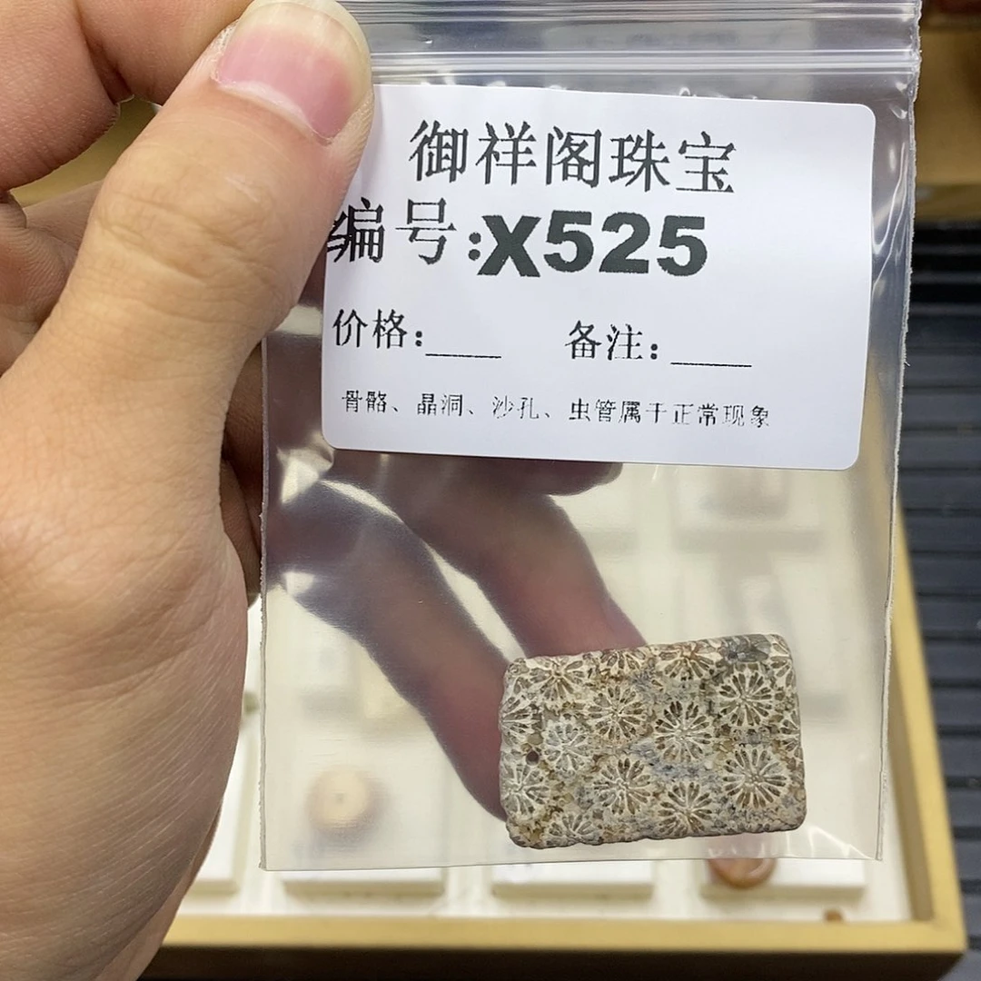 硅化珊瑚（珊瑚玉）未镶嵌颈饰捣****蛋