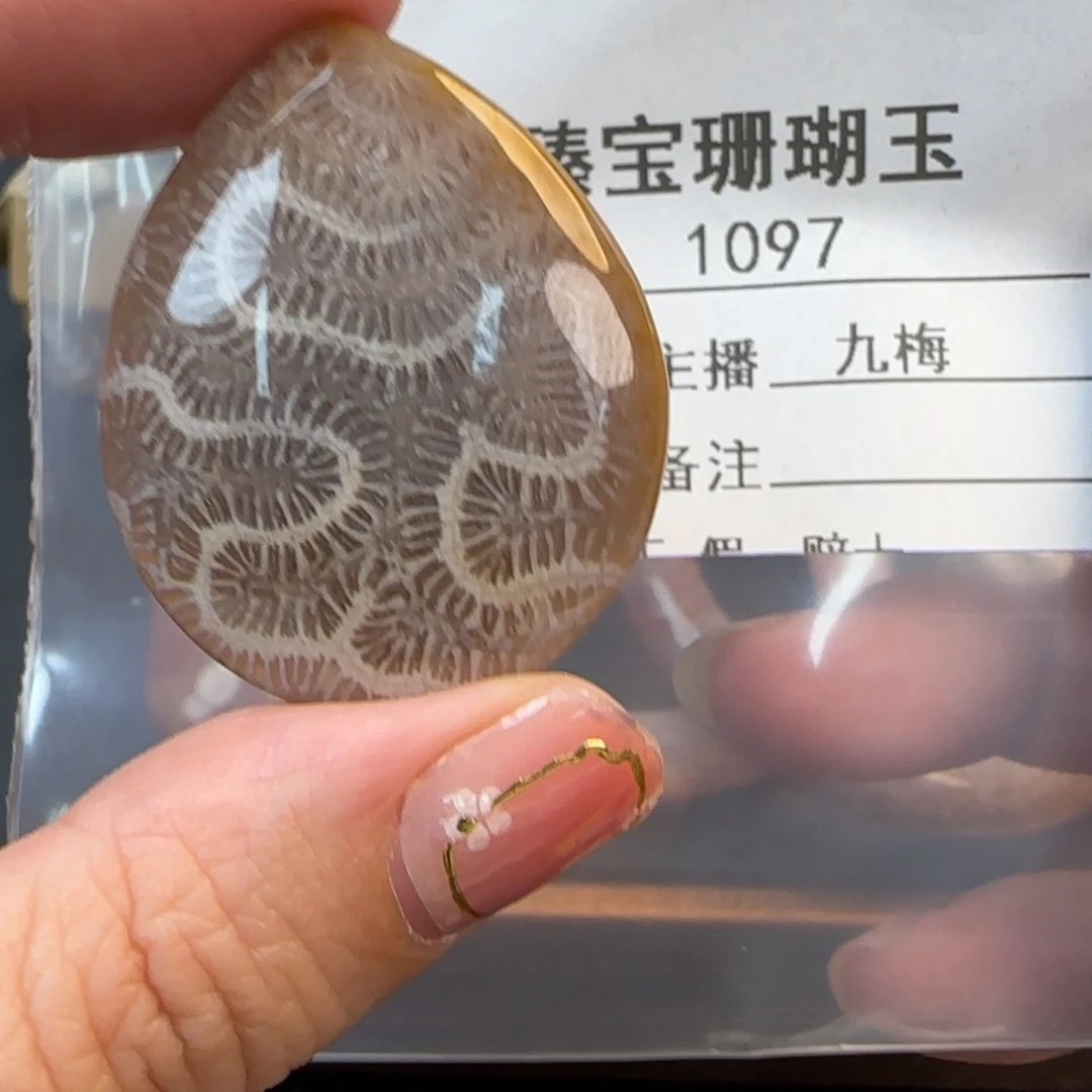 硅化珊瑚（珊瑚玉）未镶嵌颈饰