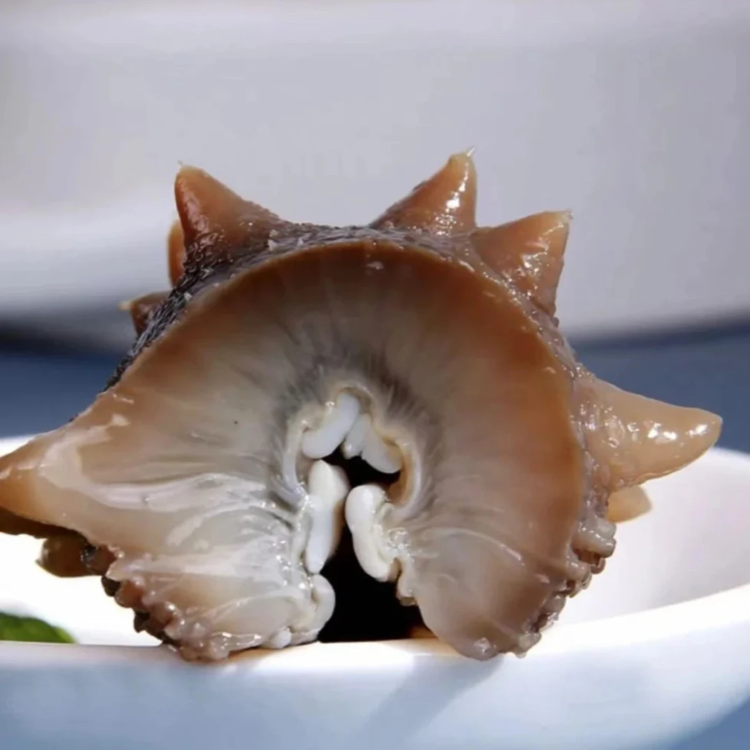 【吕姐高口大连即食海参】高口 鲜活海参加工口感Q弹 肉质紧致