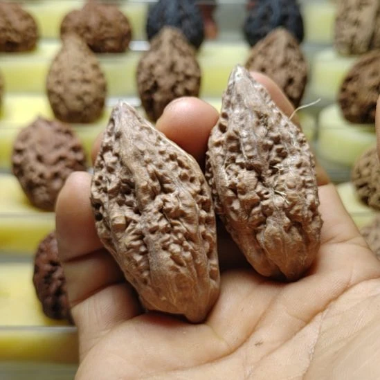 把件文玩核桃穿云箭