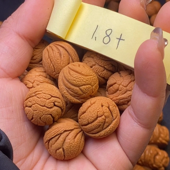 秦岭龙纹桃核14颗