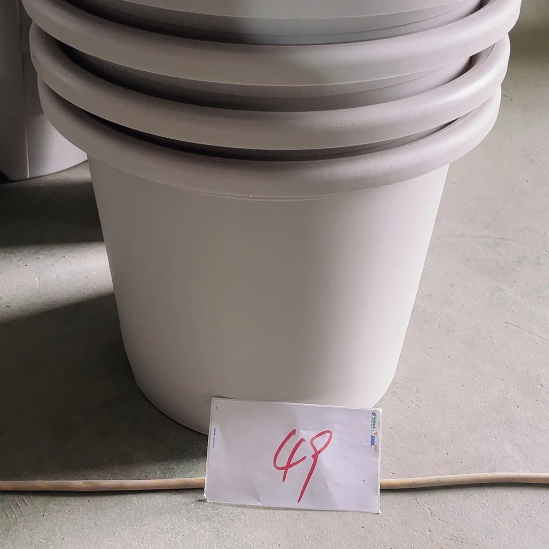 编号49编号49编号49