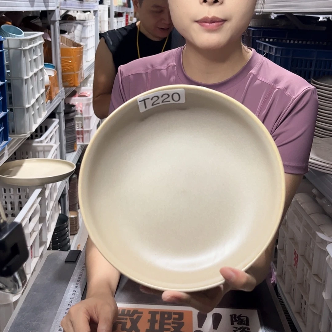 瓷片220             2个