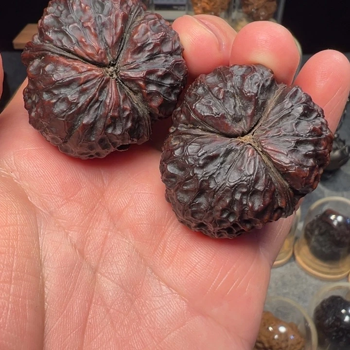 文玩核桃把件凸筋三棱40mm