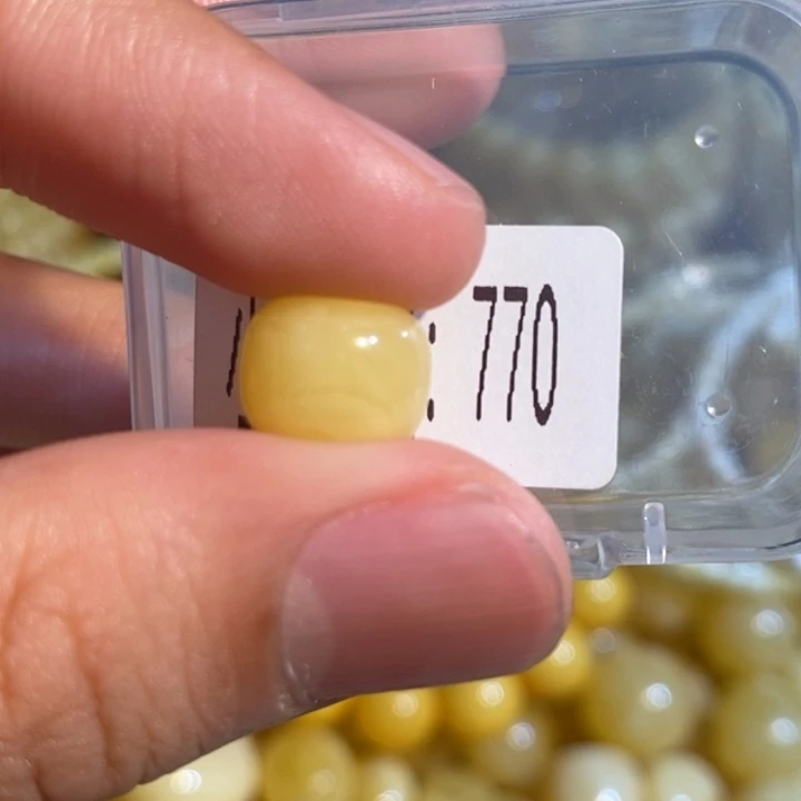 琥珀未镶嵌珠宝奇石770