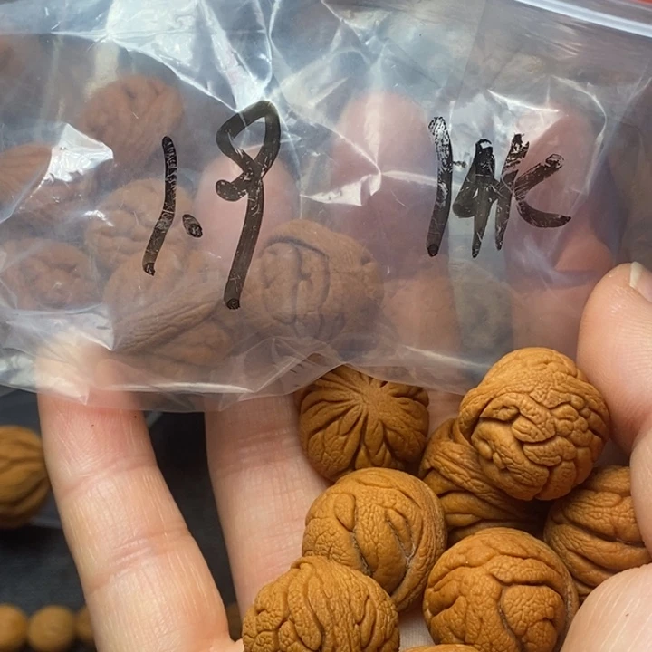 吊坠桃核秦岭山野生桃核