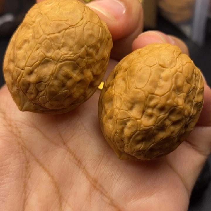 把件文玩核桃37尺金龟玉甲