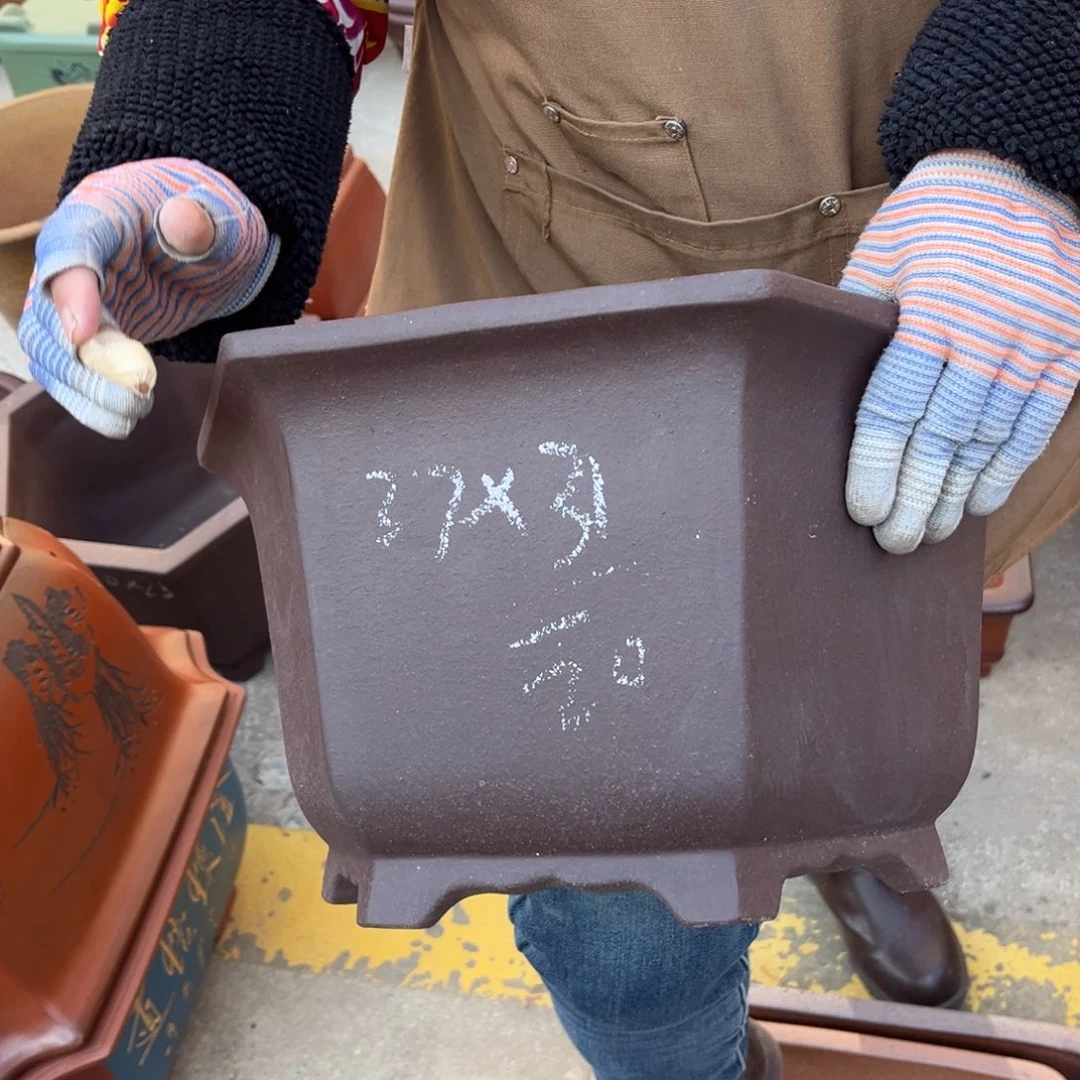 紫砂花盆盆景艺术