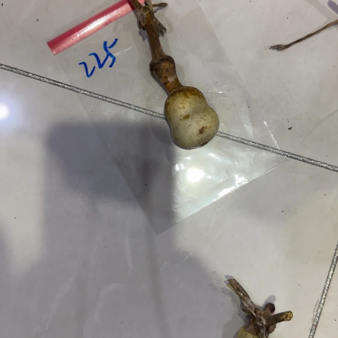 ×****青皮不包成功这两种情况就是
