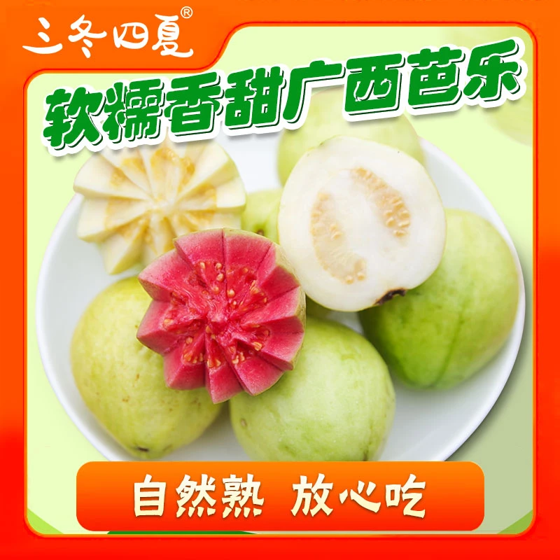 三冬四夏【顺丰包邮】广西红白心芭乐软糯香甜低糖健康新鲜番石榴