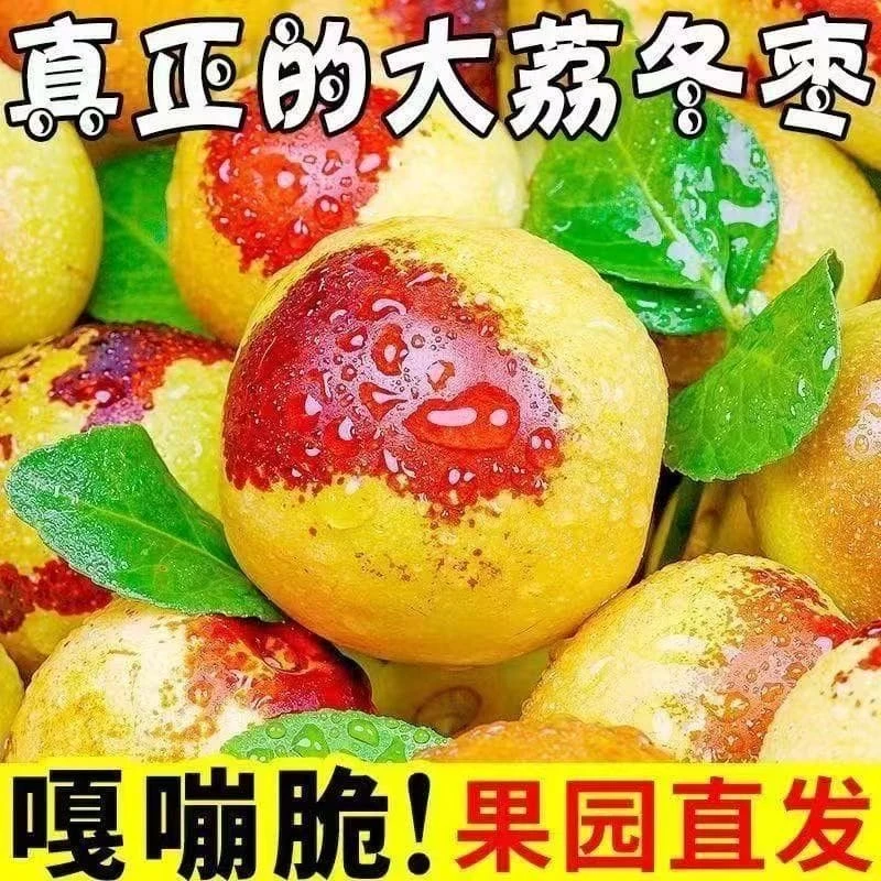 【果臻甜】正宗陕西大荔冬枣冰糖冬枣脆甜现摘先发新鲜水果产地直发