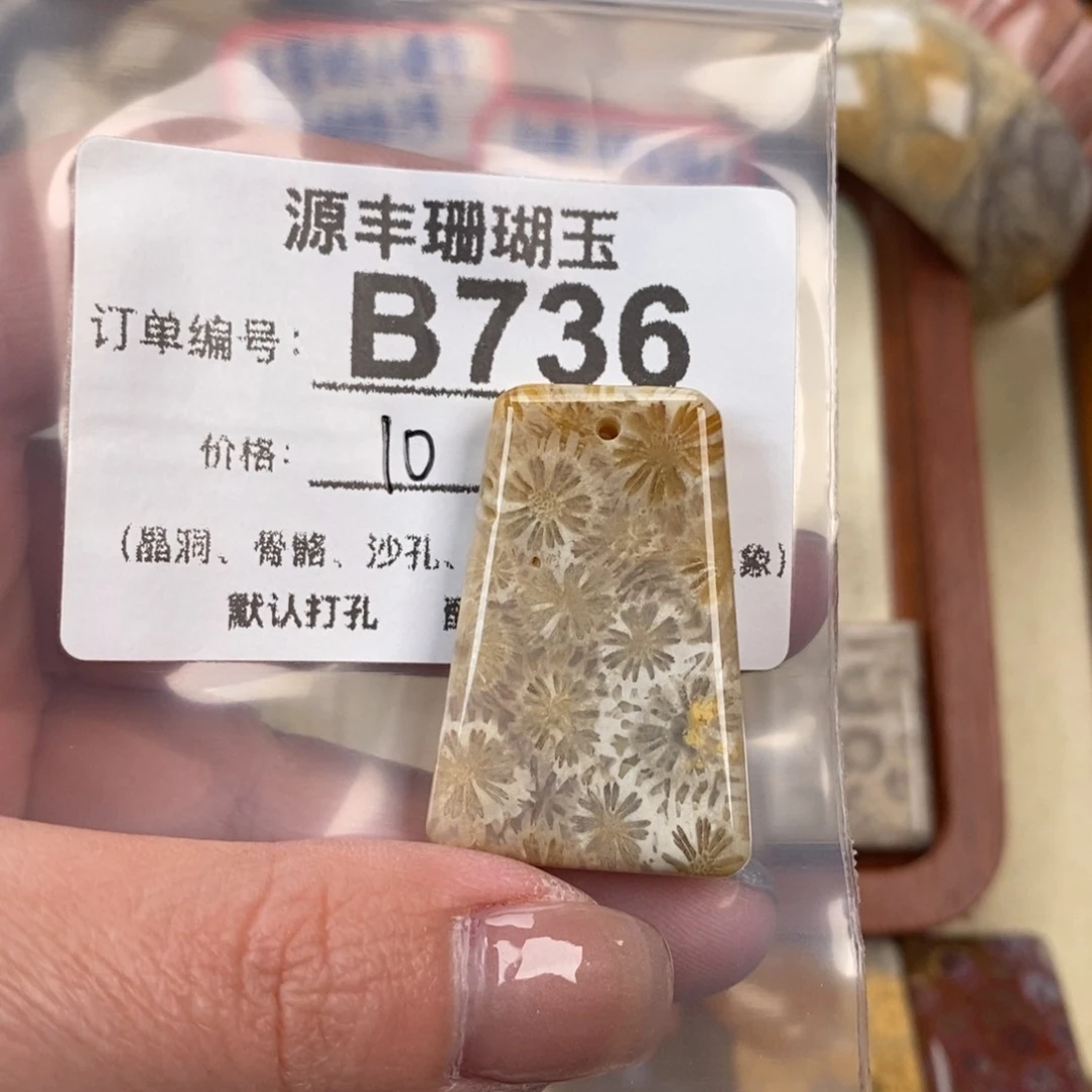 硅化玉颈饰未镶嵌在****果