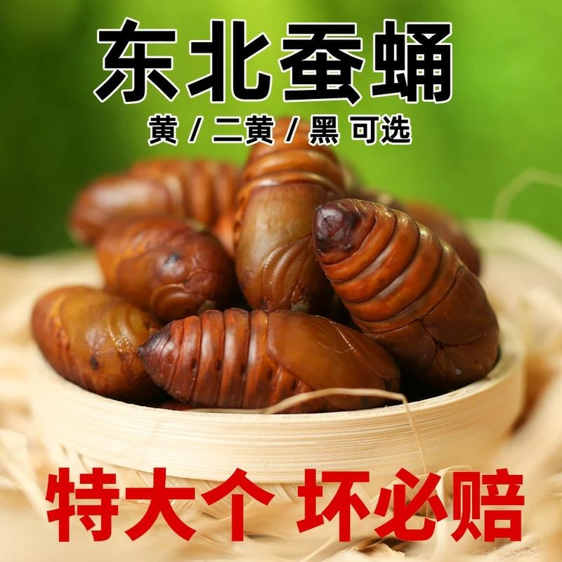 东北鲜活蚕蛹大个柞蚕蛹新鲜蝉蛹茧蛹大黄中黄大黑高蛋白500g包邮