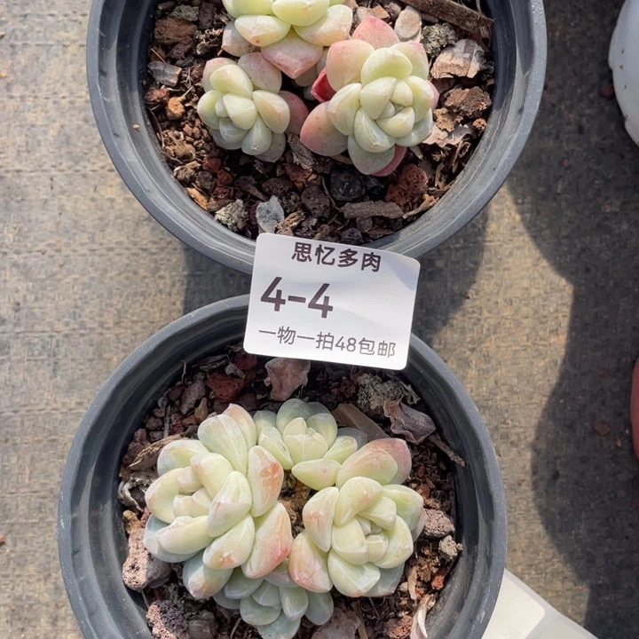 尼***色你在干嘛呢我在洗衣服