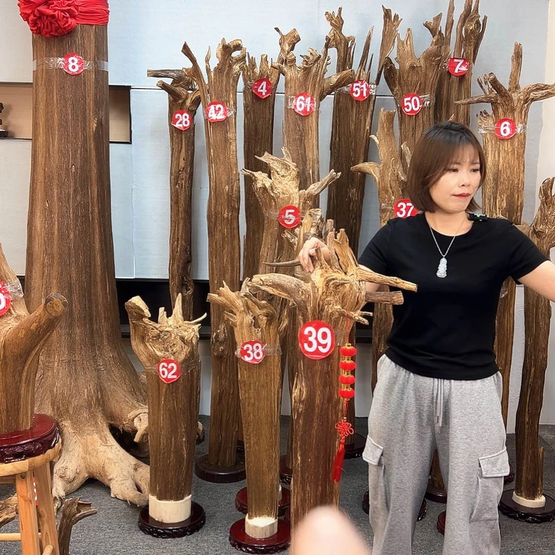 摆件沉香沉香摆件