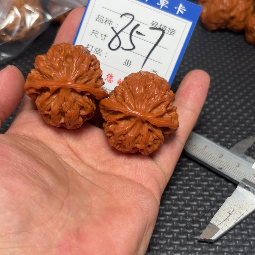 核桃其他狮子头的