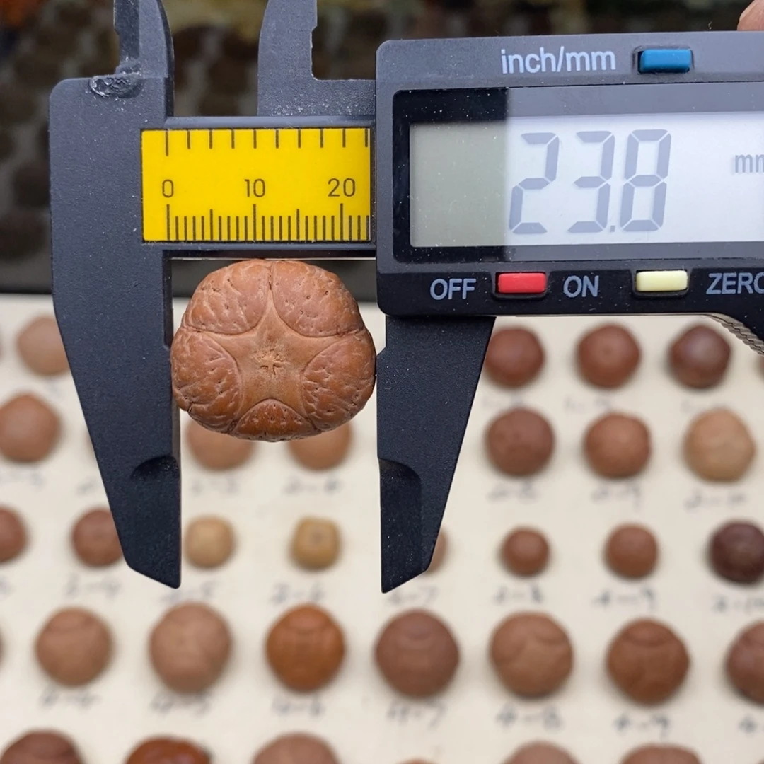 吊坠凤眼菩提五星