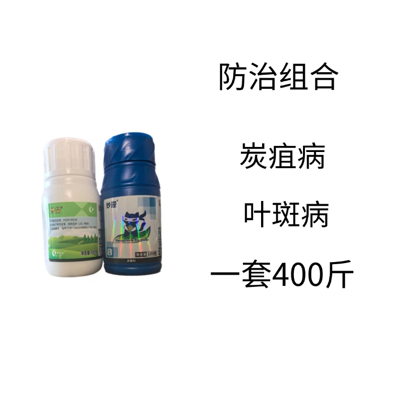 炭疽病叶斑病组合