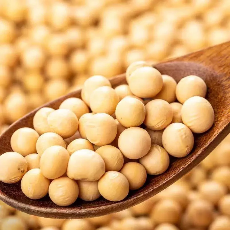 农家黄豆当季新豆颗粒饱满可做酱做酱油霉黄豆
