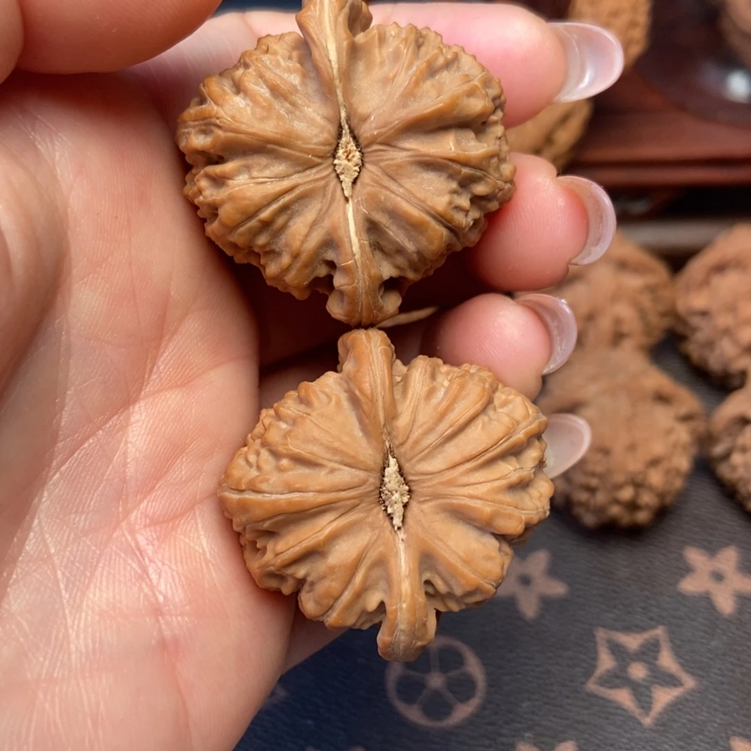 大叶紫檀（黑酸枝木类）白狮子