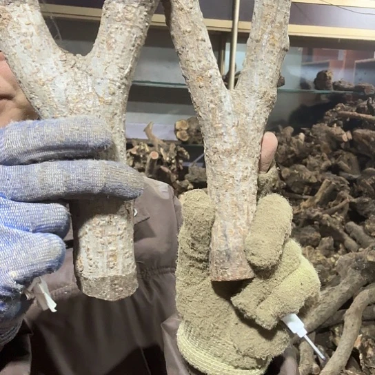 香榧木悟****品火琉璃等毛料摆件