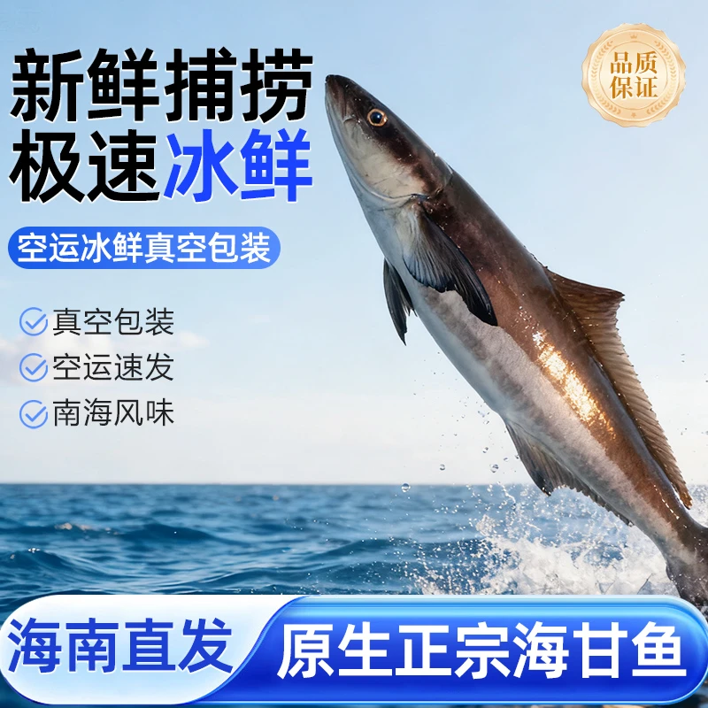 【19斤原鱼】海南深海军曹鱼（海甘草）鲜鱼切片急冻/京东空运包邮