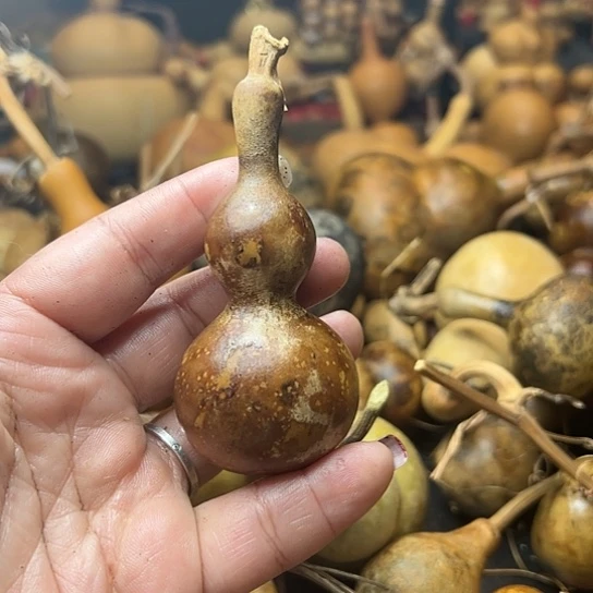 V***?葫芦葫芦葫芦葫芦